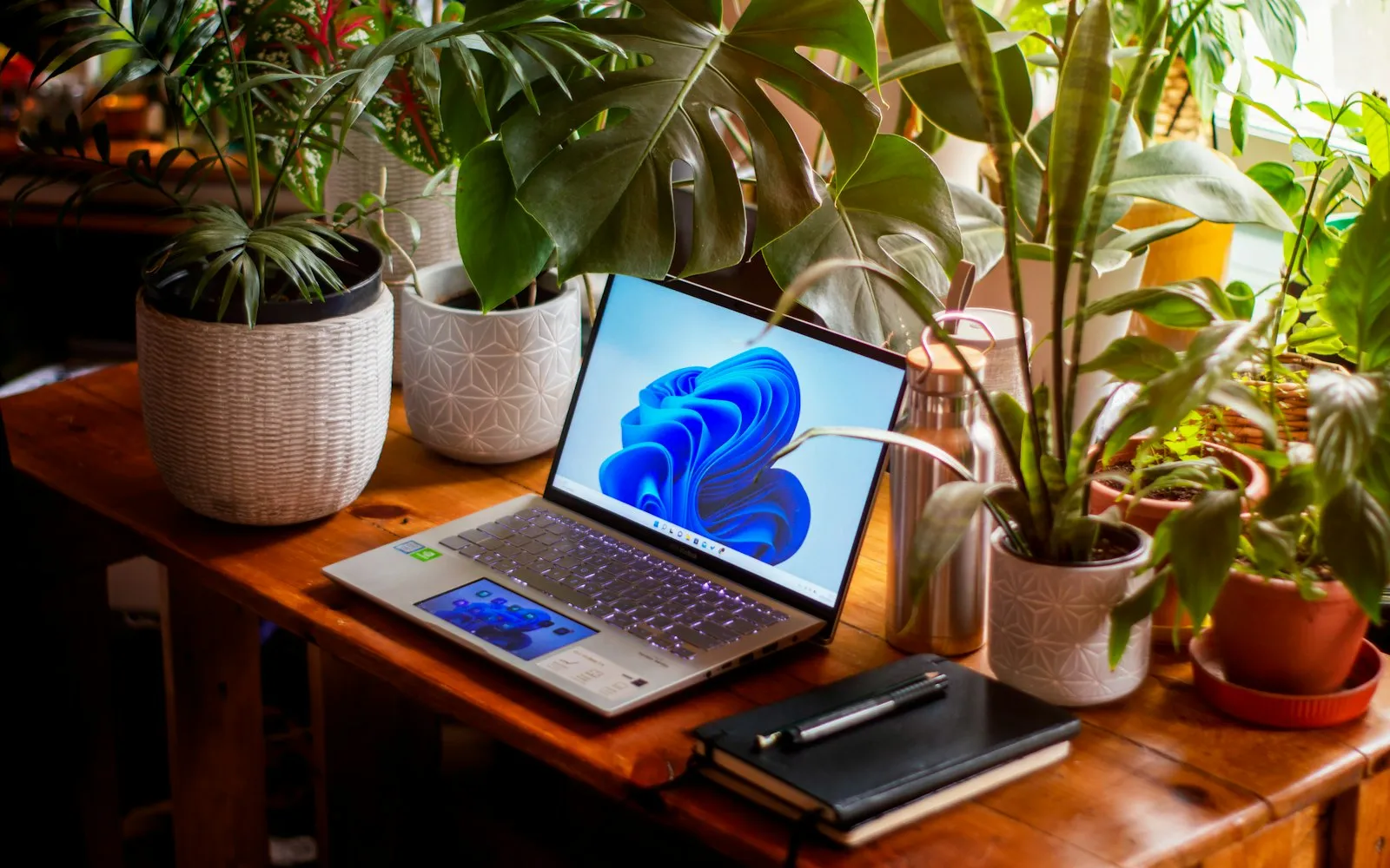 An open Windows laptop on a wooden table surrounded by potted plants and a notebook